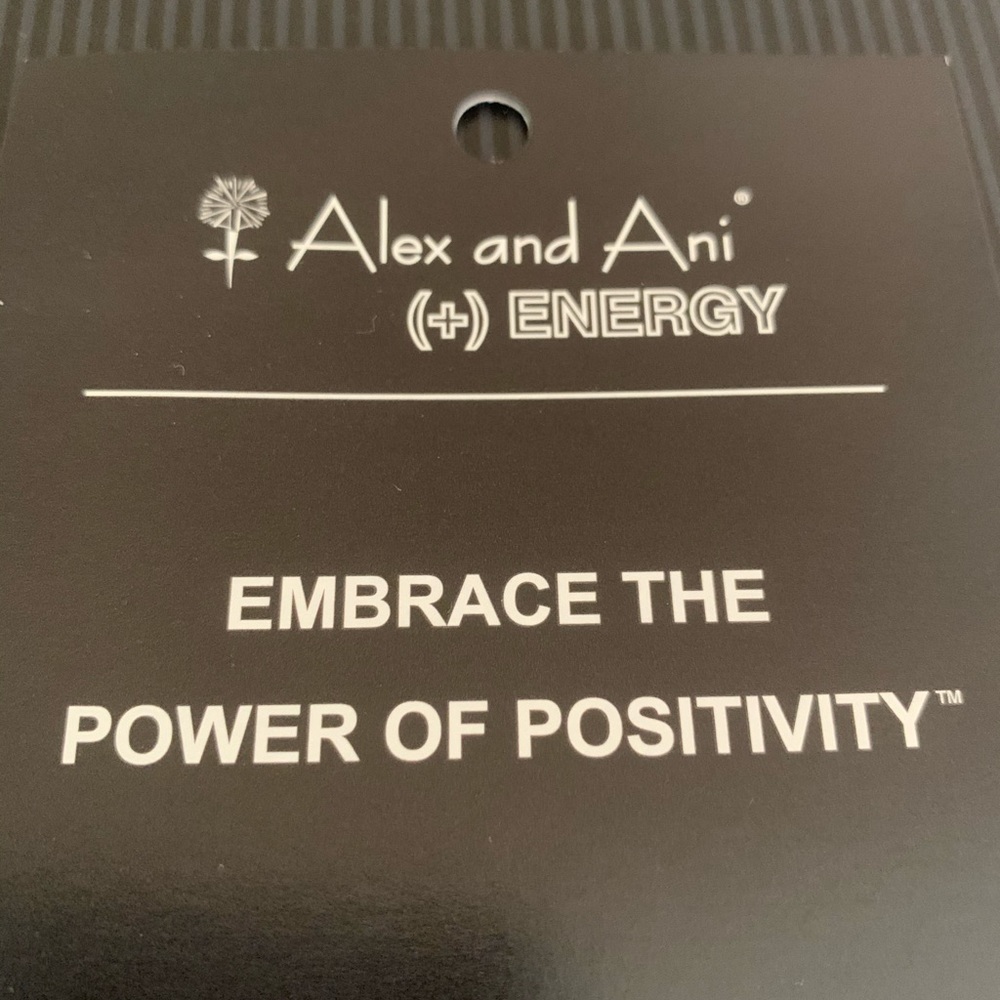 IN SEARCH OF Alex & Ani Generic Meaning Cards